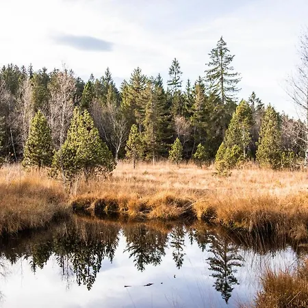 Hilde Ferienwohnung Hotel Sulzberg (Bregenz)